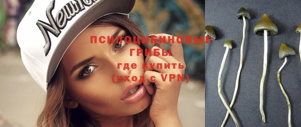 стафф Волоколамск