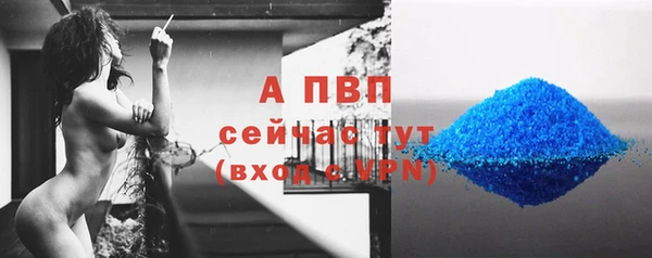 СК Володарск