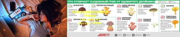 СК Володарск