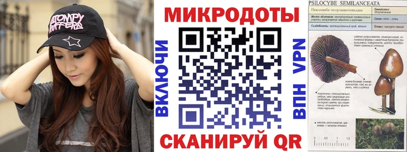 даркнет официальный сайт  купить закладку  Новороссийск  Псилоцибиновые грибы прущие грибы 