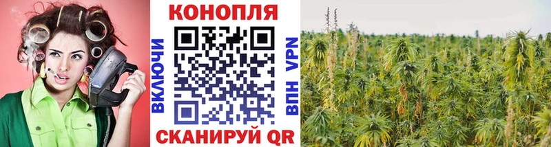 Бошки марихуана VHQ  что такое   Новороссийск 