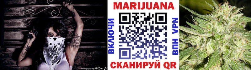 МАРИХУАНА сатива Новороссийск